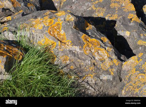 Rivers Stones And Boulders High Resolution Stock Photography And Images
