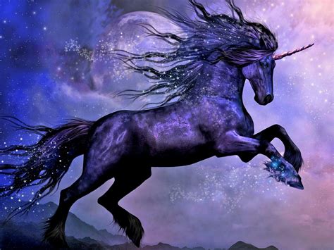 Enchanted Night Unicorn Hd Wallpaper
