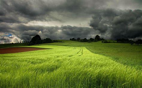 Green Wheat Field Rain Clouds Sky Wallpapers Wallpaper Cave
