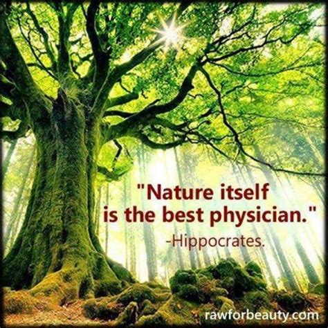 Nature Itself Is The Best Physician Hippocrates Alternative Healing Nature Therapy Help