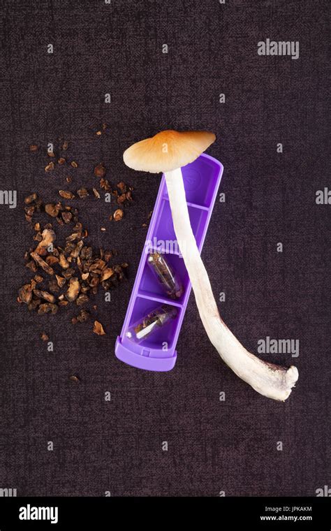 Fresh And Dry Hallucinogenic Magic Mushrooms With Pill Organizer Top