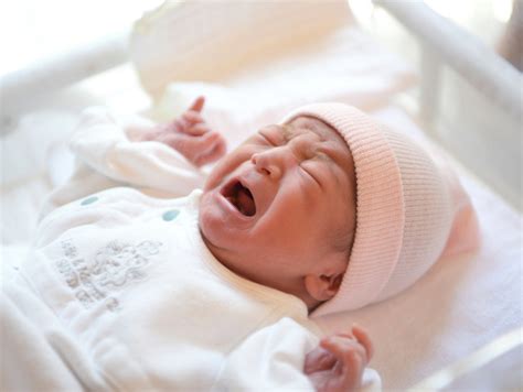 生まれたて赤ちゃん毎日出演 関西人和ます1分30秒：朝日新聞デジタル