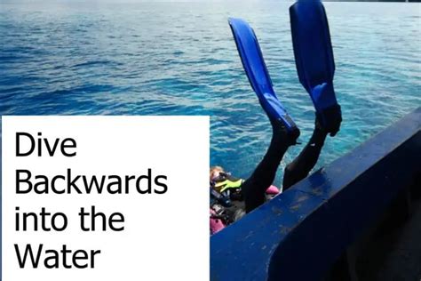 Why Do Scuba Divers Dive Backwards Into The Water Scuba Diving Gear