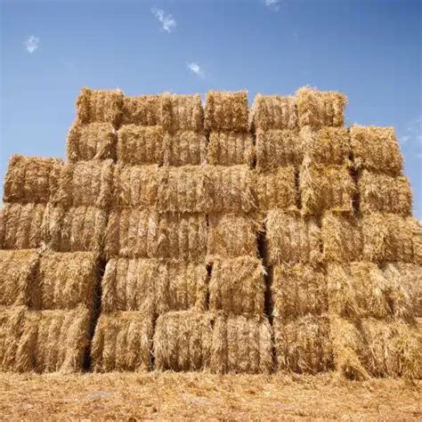 The Ultimate Guide How To Stack Hay Bales