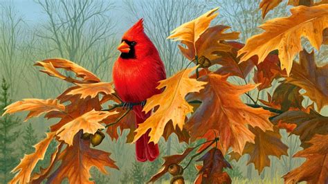 Autumn Birds Wallpapers Top Free Autumn Birds Backgrounds