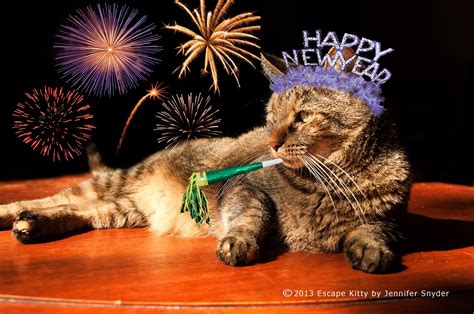 Escape Kitty's Scrappy Adventures: Escape Kitty wishes you a Happy New Year