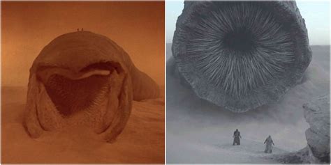 10 Cool Facts About Dune S Sandworms