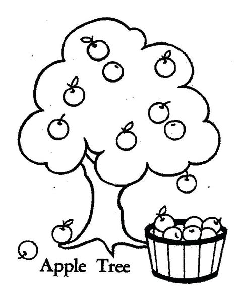 Fruit Tree Coloring Page At Free Printable Colorings