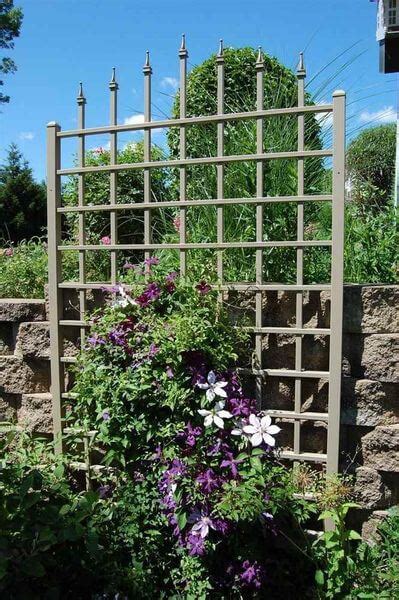 To ensure longevity and optimal appearance, wrought iron and metal trellis owners typically have to purchase special cleaning and. Wrought Iron Trellises - Golly Gee Gardening