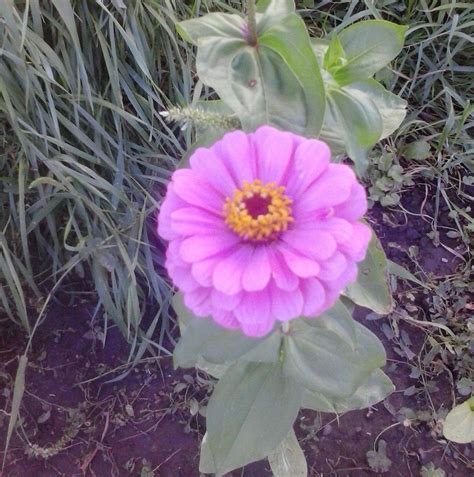 Nourish Your Body, Mind, And Soul