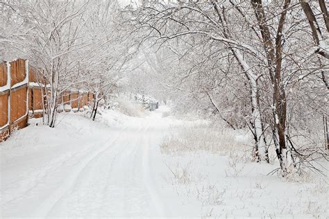 February Snow Photograph By Theresa Tahara Fine Art America