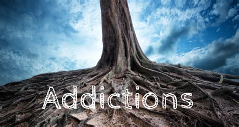 The Trees Of Addiction And Recovery 12 Step Philosophy