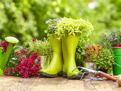 The Benefits Of Gardening In Addiction Recovery Canyon Vista