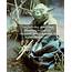 Yoda Pain Suffering Death I Feel  Collection Of Inspiring Quotes