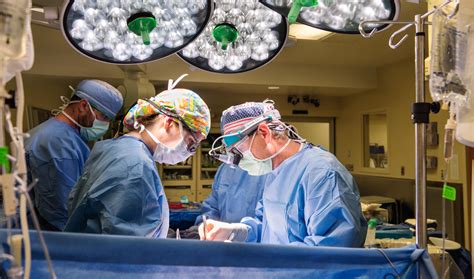 Tampa General Hospital Reaches 10000 Organ Transplant Milestone
