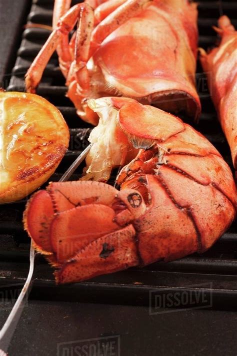 Barbecued Lobster Stock Photo Dissolve