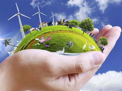 Environmental Sustainability And Integrity What Should Your Company