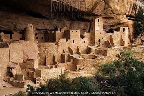 Minden Pictures Pueblo Or Anasazi Indian Cliff Dwellings Built Around