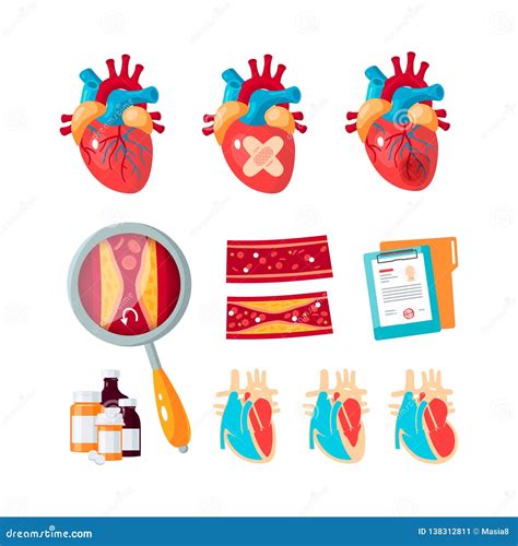 Vector Set Of Cardiology Icons In Flat Style Stock Vector