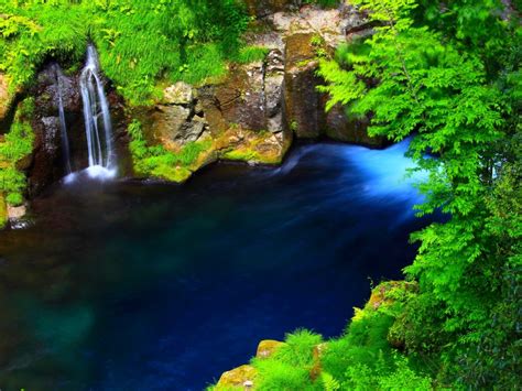 River Forest Waterfall Lake Blue Water Rocky Coast With
