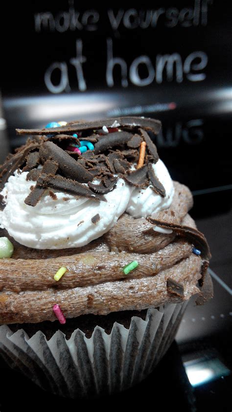 Free Images Dish Chocolate Cupcake Baking Dessert Cake Icing