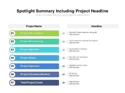 Spotlight Summary Including Project Headline Powerpoint Templates