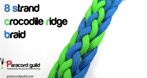 Fold one 5 foot length of paracord in half and match the ends. 8 strand crocodile ridge braid - Paracord guild