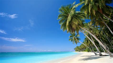 Tropical Beach Scenes Wallpaper 49 Images