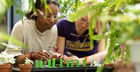 biological and physical sciences department fontbonne university
