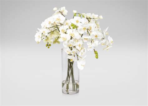 White Orchids In Glass Vase Florals And Trees White Orchids Glass Vase Flower Arrangements