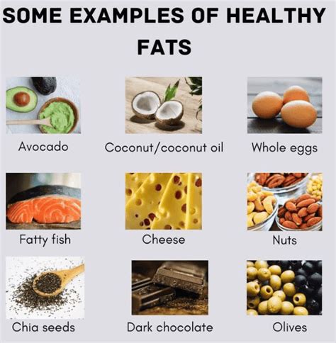 What Are Some Examples Of Fats And Their Types Ox Science