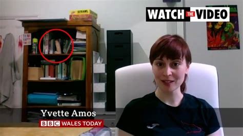 bbc guest goes viral for sex toy in background during interview video the advertiser