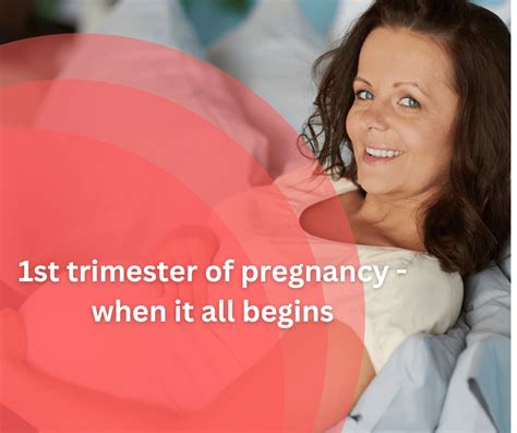 1st Trimester Of Pregnancy Mothers And Babies