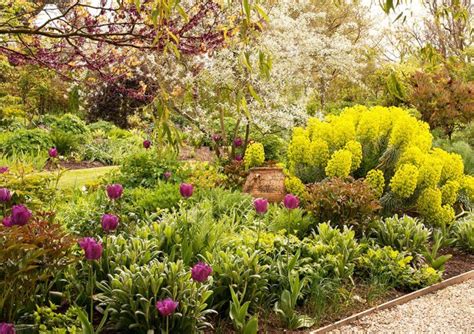 Sie ist bei dem gärtnereibetrieb helix pflanzen für den englischen lavendel zuständig, der als robust und verhältnismäßig winterhart gilt. The English Garden on Twitter | Pflanzen, Englischer garten