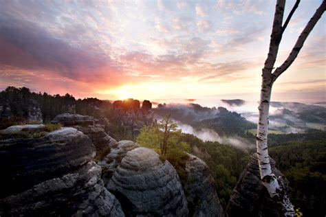 Fog Over Germany Saxon Switzerland National Park On Behance