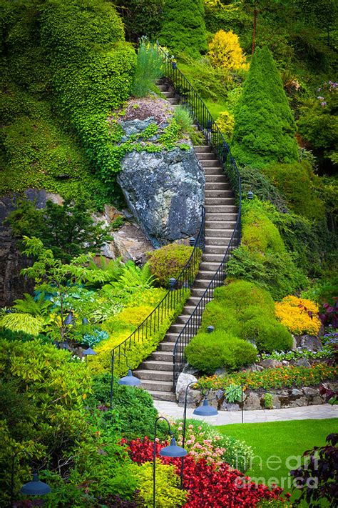 Butchart Gardens Stairs Photograph By Inge Johnsson Fine Art America
