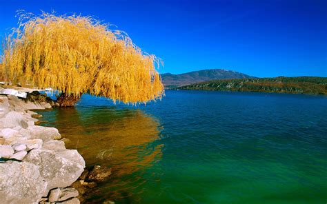 Full HD Nature Wallpapers 1080p (66+ images)