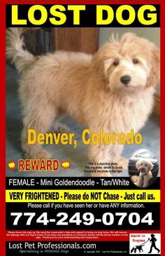 But according to this post on craiglist, the same house is apparently for rent, for only $600 a month. Craigslist Denver Colorado Pets - All Are Here