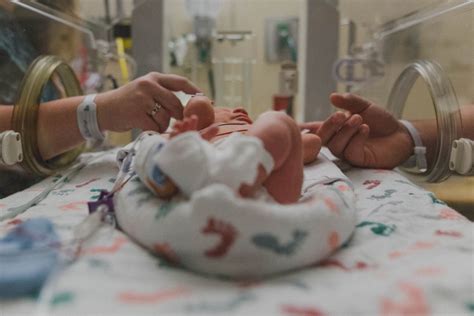 Premature Baby In Nicu Holding Parents Hands Osf Healthcare Blog
