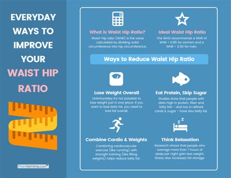 Waist Hip Ratio Your Essential Guide