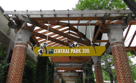 Central park's original plan designed by frederick law olmsted and calvert vaux excluded a zoo, but park commissioners responded to the ad hoc housing of animals by seeking a location for a. Central Park Zoo Entrance | Entrance to Central Park Zoo ...