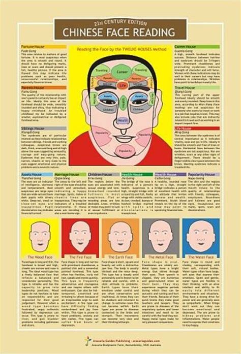 Physiognomy Chinese Face Reading Chart Chinese Face Map Chinese Face