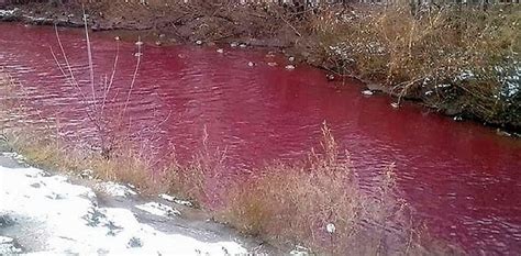 Watch Another River Mysteriously Turns Red In Russia
