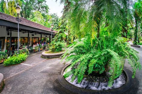 Restaurant Beside Palm Trees At The Singapore Botanic Gardens Editorial