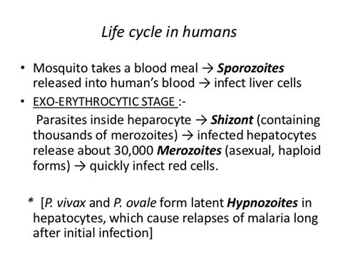 Plasmodium species that infect humans. Life cycle of plasmodium
