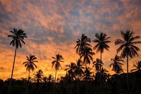 Chacala Sunrise Photograph By Greg Vaughn