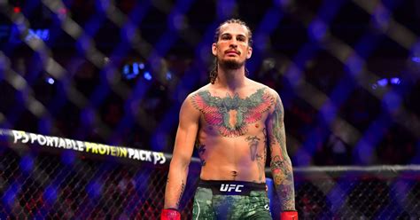Maybe you would like to learn more about one of these? Sean O'Malley announces return at UFC 258 - Bloody Elbow