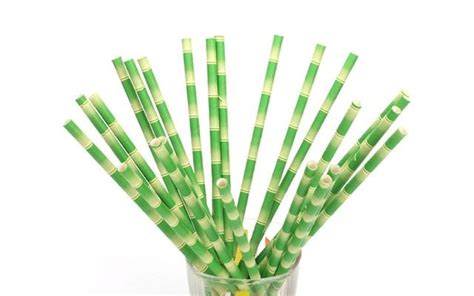 Bamboo Paper Straws Idiot Buy Paper Straws Biodegradable Products