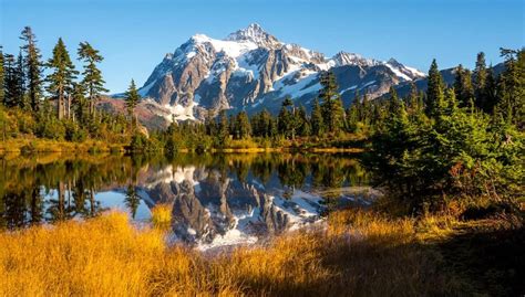 5 Breathtaking Us National Forests The Discoverer