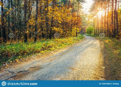Beautiful Autumn Landscape With A Road In The Forest Stock Image